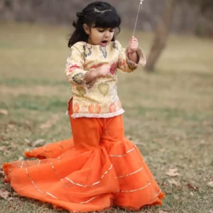 Bloon Long Flared Sharara Dress | Ready to Wear Dresses for Girls | Mayaar